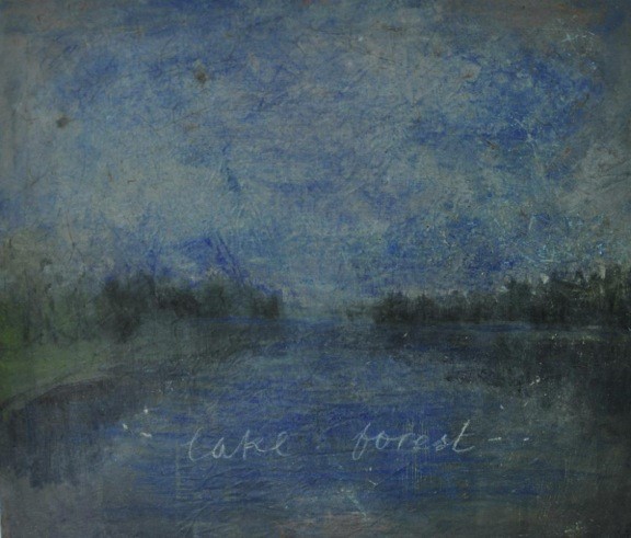 Lake Forest, 2011 Oil on Canvas, 62 X 69 Cm