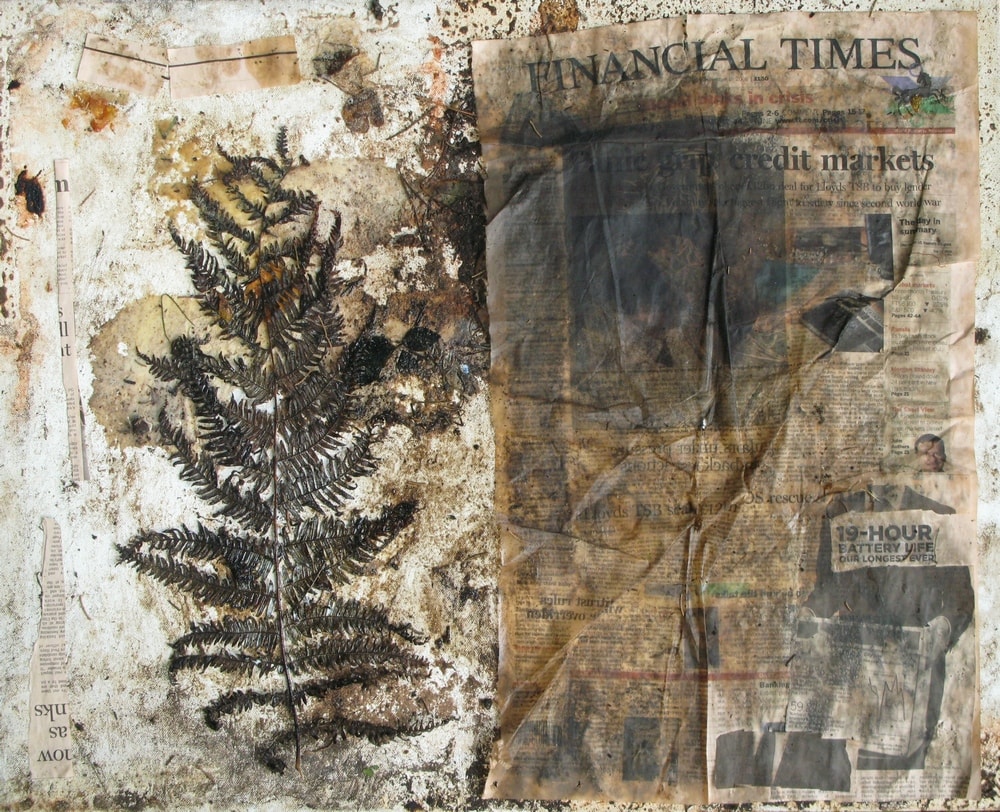 The Fern, The FT and The Crisis (Stage 1 Of 2), 2008 Photograph Of Collage on Canvas on Canvas 50 X 70 Cm