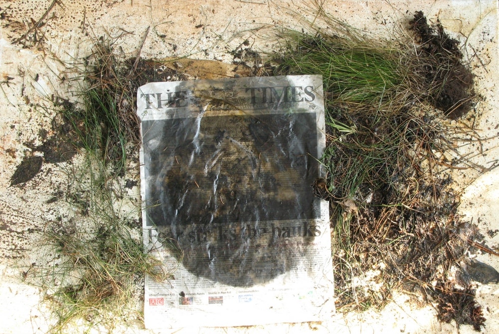 Fear Stalks The Banks: The Times and The Crisis (Stage 1 Of 2), 2008 Photograph Of Collage on Canvas 50 X 70 Cm