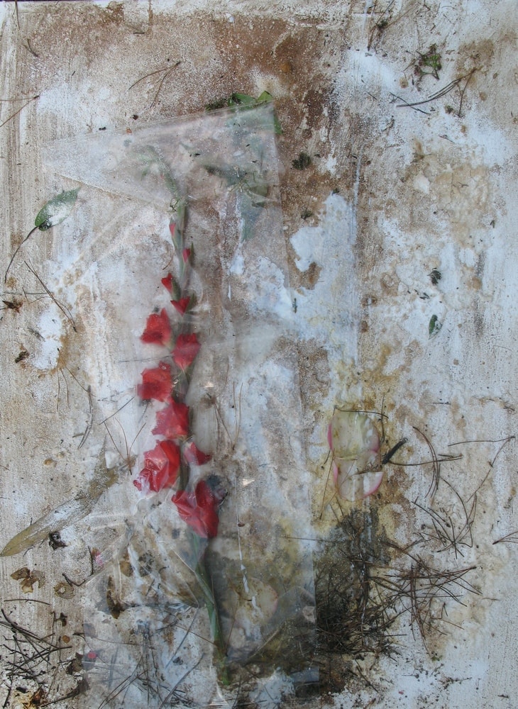 Red Lady Crisis, 2008 Photograph Of Collage on Canvas